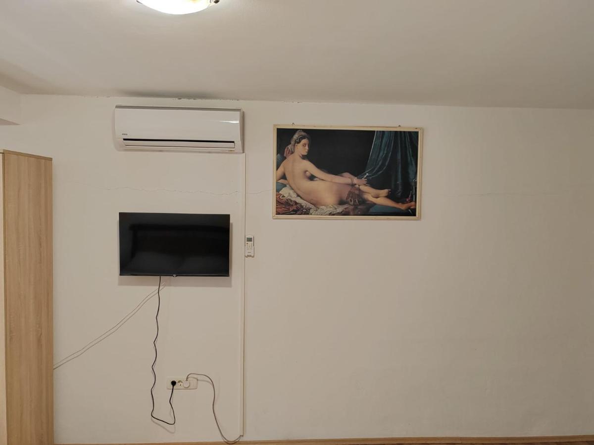 Apartman Senka Rogotin公寓 外观 照片